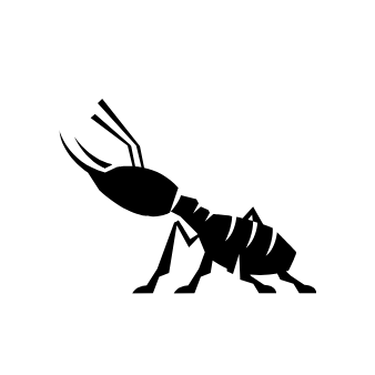 白蟻